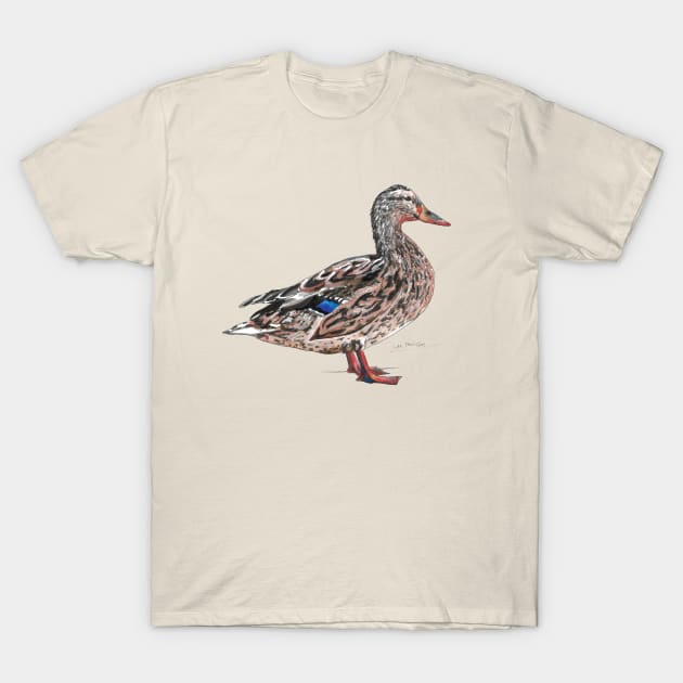 Mallard Duck - Female T-Shirt by lucafon18